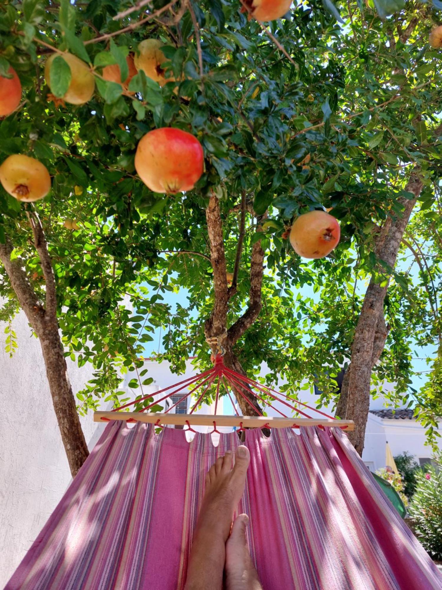 "Oliveiras" Appartement Typique Avec Terrasse Et Piscine Loule Exterior photo